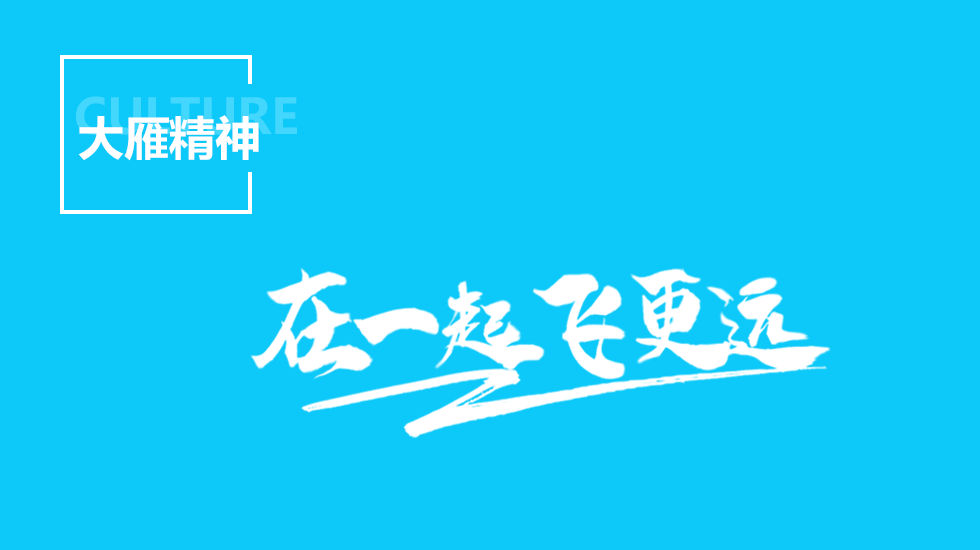 上海示一膜结构有限公司